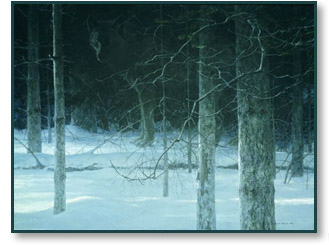 Robert Bateman - Midnight Black Wolf