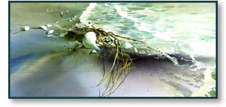 Carolyn Blish - Tide's Edge