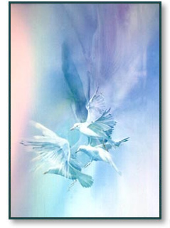 Carolyn Blish - Windborne