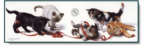 Amy Brackenbury - Bureaucats