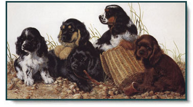 Amy Brackenbury - Pupulation Explosion (Black Variations)