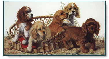 Amy Brackenbury - Pupulation Explosion (Gold Variations)