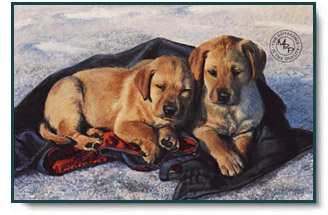 Amy Brackenbury - Winter Coat