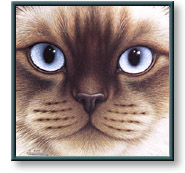 Braldt Bralds art print: Burman