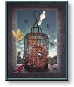 Braldt Bralds art print: Cat-as-trophy