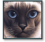 Braldt Bralds art print: Chocolate Point Siamese