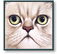 Braldt Bralds art print: Persian