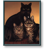 Braldt Bralds art print: Rainbow Whiskers