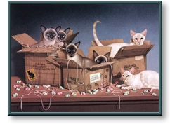 Braldt Bralds art print: Siamese Twins