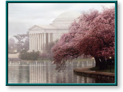 Pillars of Freedom by Rod Chase