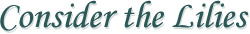 Consider the Lilies