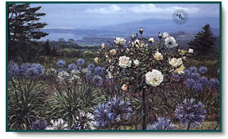 Peter Ellenshaw - Artists Garden