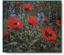 Peter Ellenshaw - Red Poppies