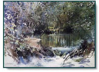 Nita Engle - Feeder Stream