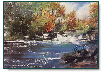 Nita Engle - First Color