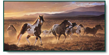 Nancy Glazier - Domino