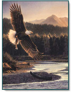 Nancy Glazier - The Fisherman