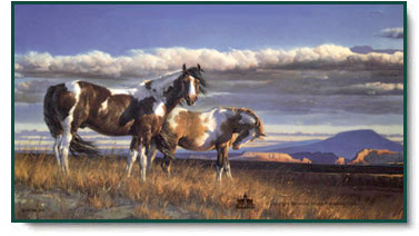 Nancy Glazier - The Painted Desert