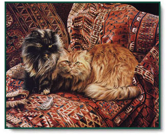 Jessica Holm - Five Persians