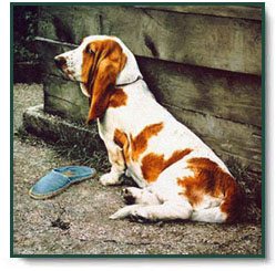 Jessica Holm - The Slipper Thief