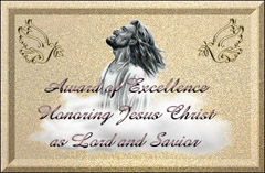 Award of Excellence from Angie