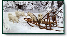 Scott Kennedy art print: In Training