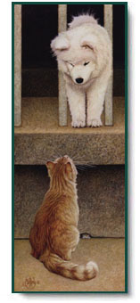 Scott Kennedy - New Kid on the Block