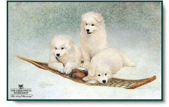 Scott Kennedy - Snow Buddies