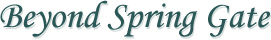 beyond spring компания википедия