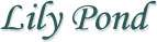 Lily Pond