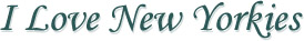 I Love New Yorkies
