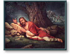 Del Parson art print: The Olive Press