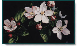 Arleta Pech - Apple Blossom Time