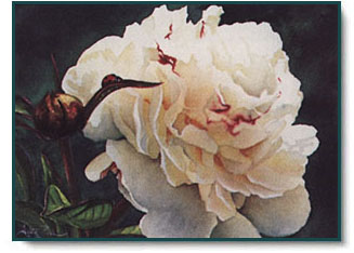 Arleta Pech - Coming to Town