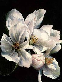 Arleta Pech - First Taste of Spring