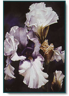 Arleta Pech - Lavendar and Lace