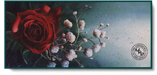 Arleta Pech - One and Only