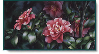 Arleta Pech - Shady Lady Camelia