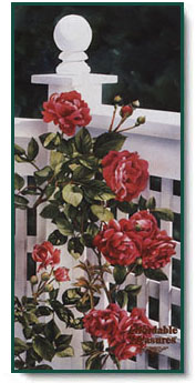 Arleta Pech - The Rambler