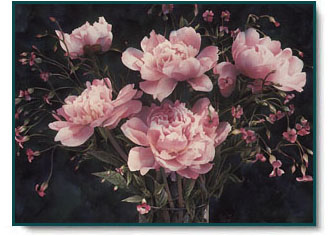 Arleta Pech - Tickled Pink