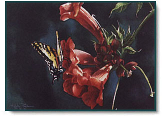 Arleta Pech - Trumpet Song