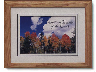 Candy Roe - Fall Trees