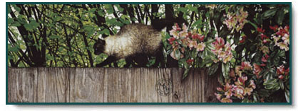 Sueellen Ross - Sylvie's Border Patrol