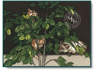 Sueellen Ross - Felines in Ficus