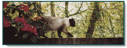 Sueellen Ross - Morning Patrol Sylvie