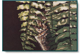 Sueellen Ross - Peeping Tomcat