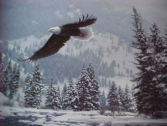 Daniel Smith - Free Flight