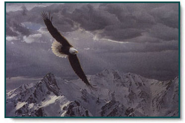 Daniel Smith - Sacred Heights