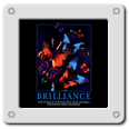 Brilliance - Butterflies