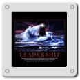 Leadership - Lighthouse